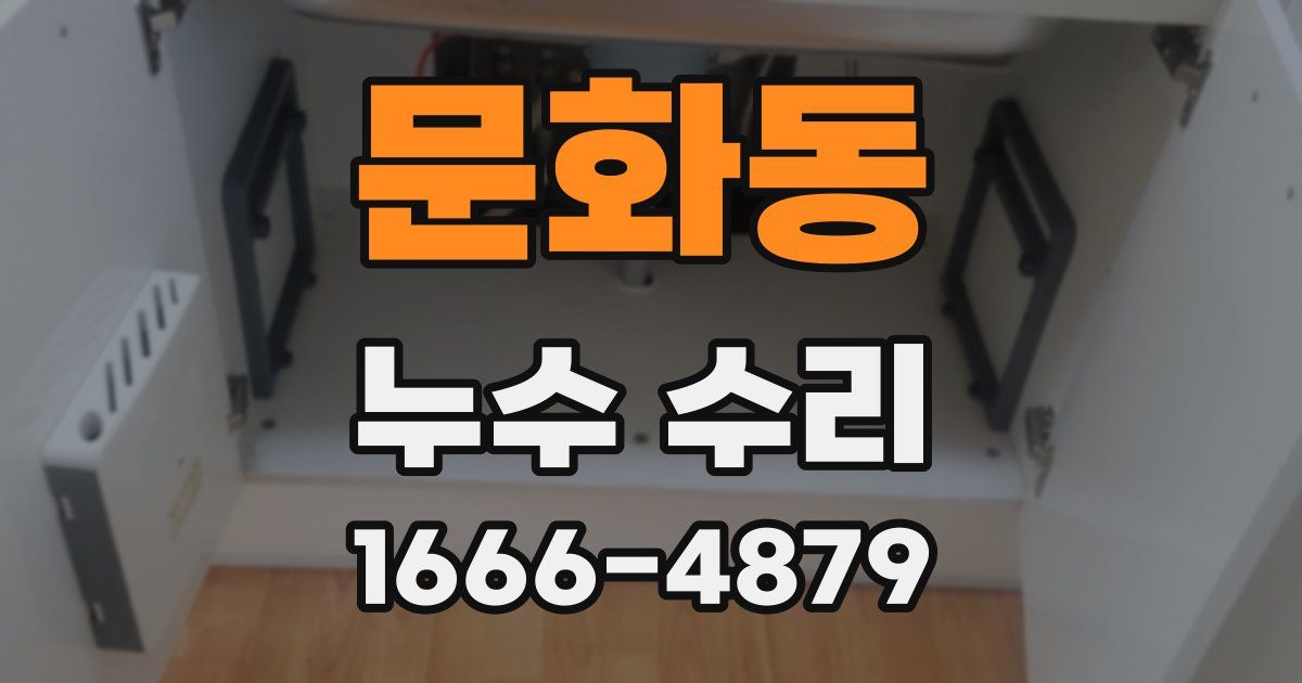 문화동 누수 수리