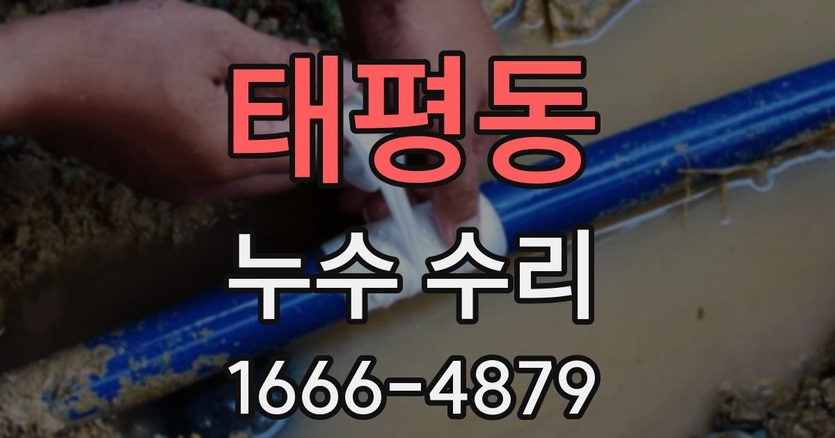 태평동 누수 수리
