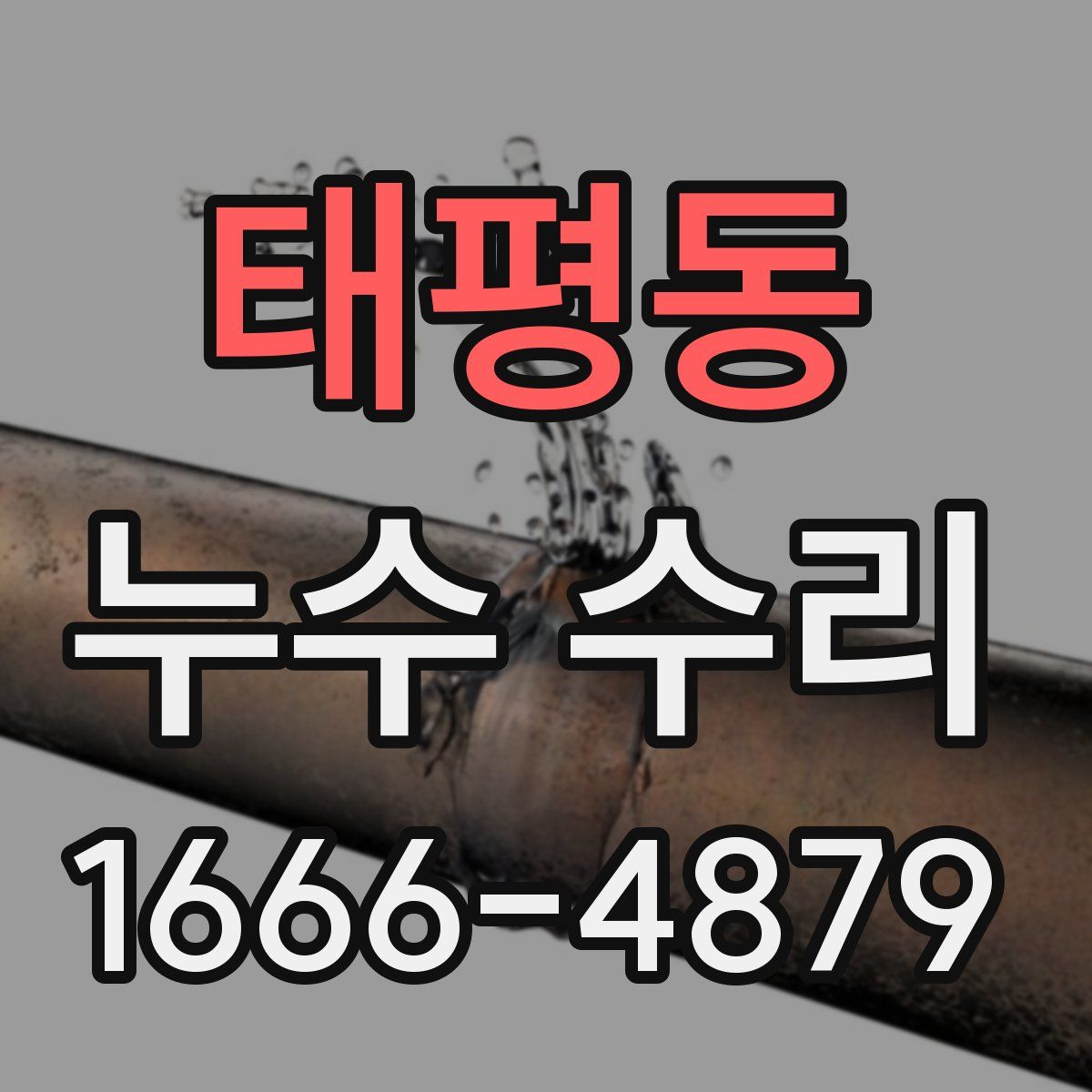태평동 누수 수리