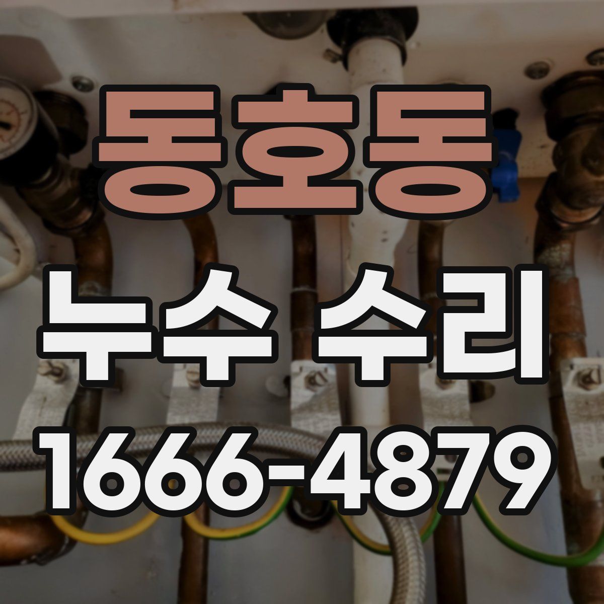동호동 누수 수리