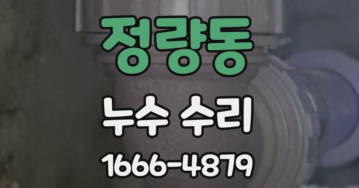 정량동 누수 수리