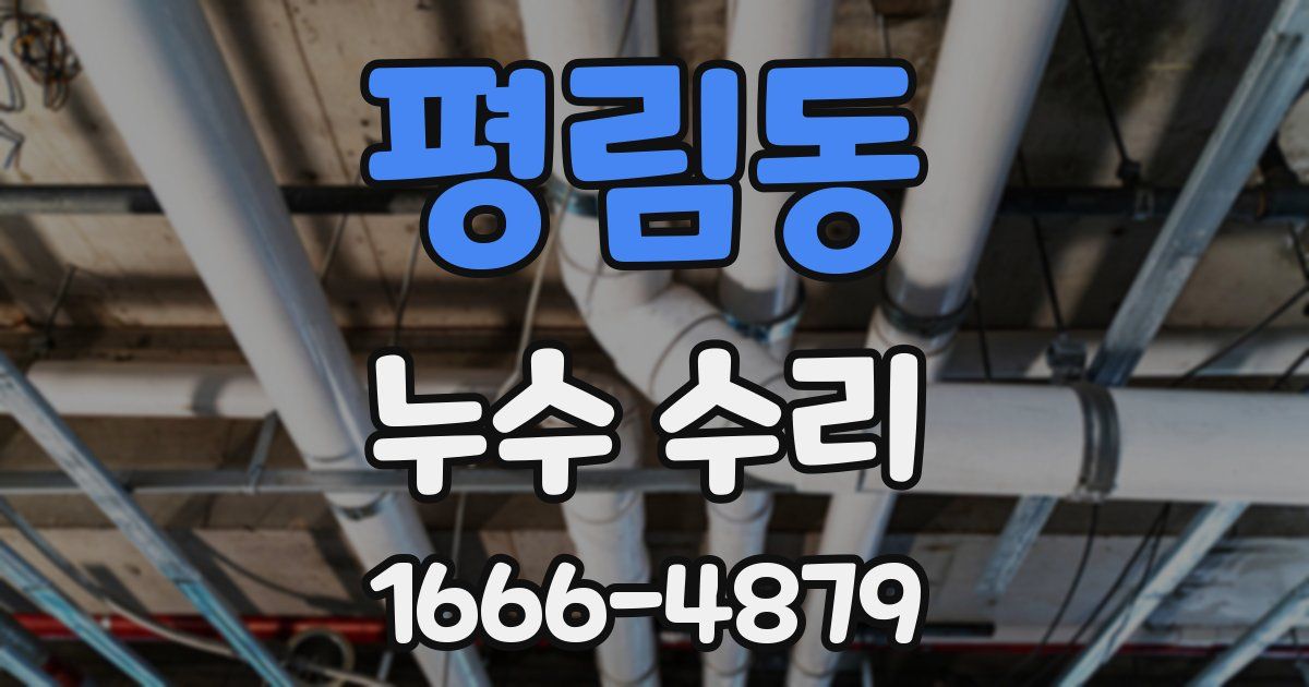 평림동 누수 수리
