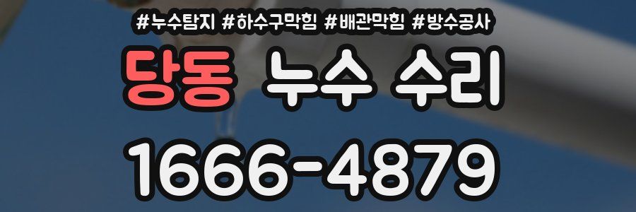 당동 누수 수리