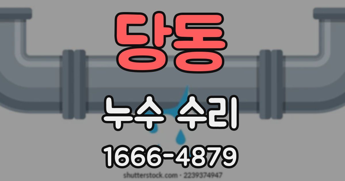 당동 누수 수리