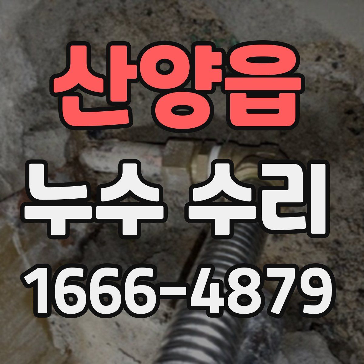 산양읍 누수 수리