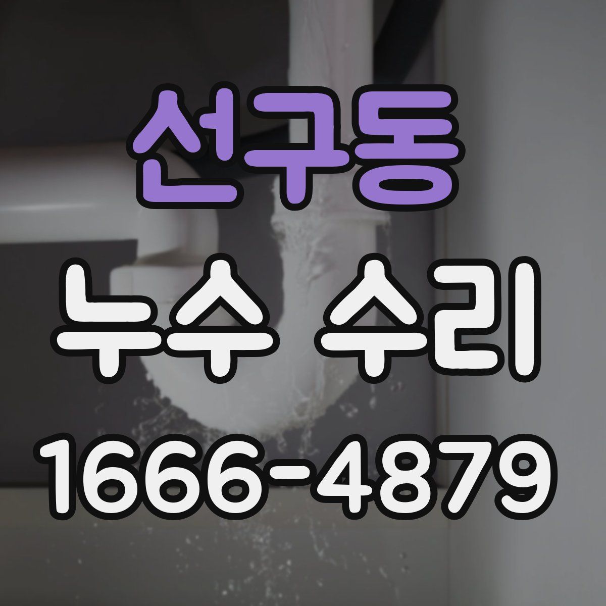 선구동 누수 수리
