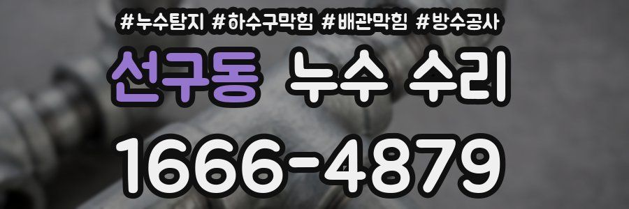 선구동 누수 수리