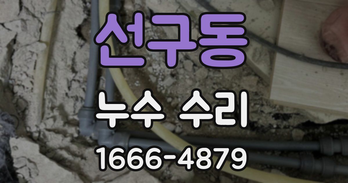 선구동 누수 수리