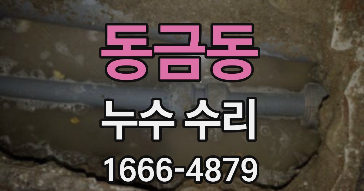 동금동 누수 수리