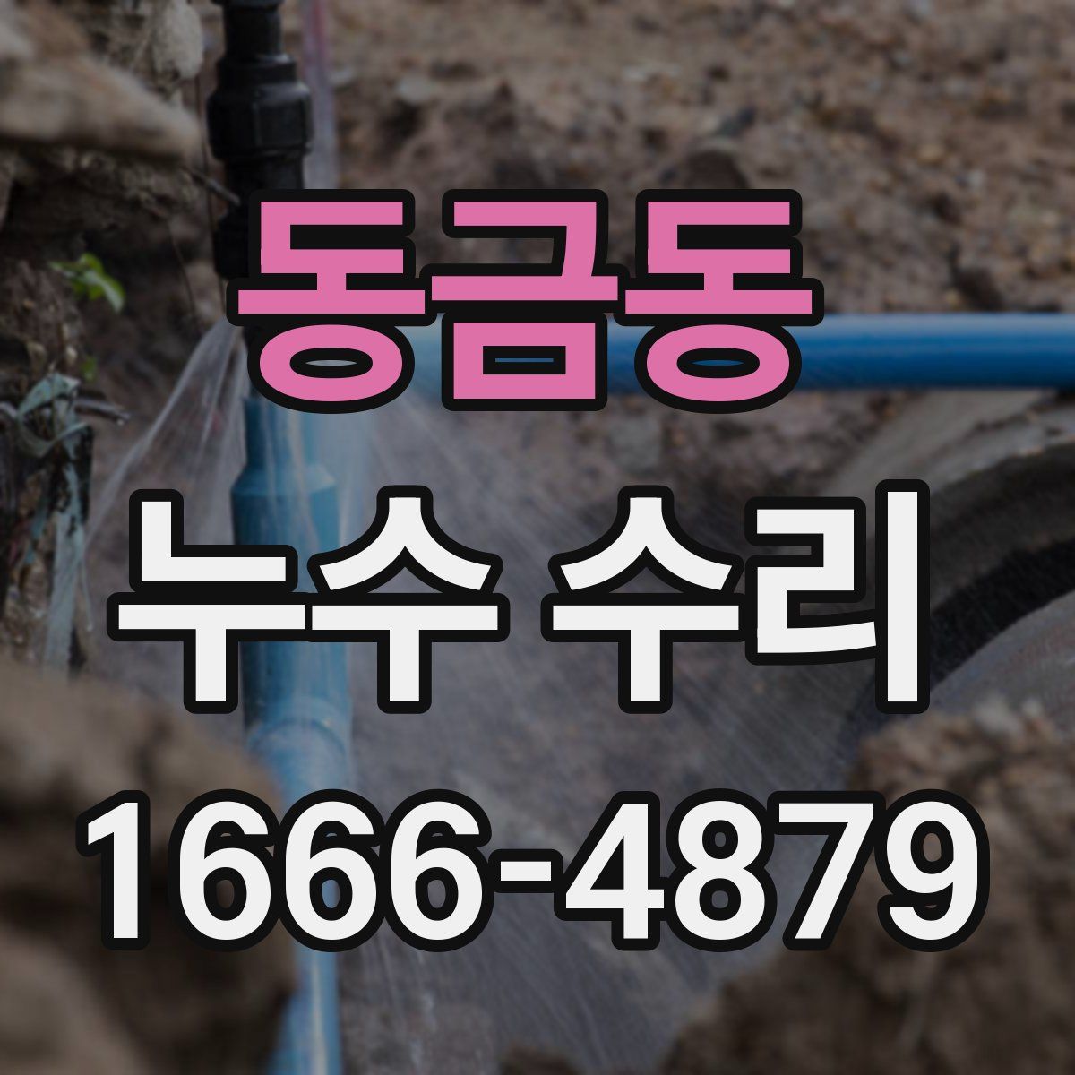 동금동 누수 수리