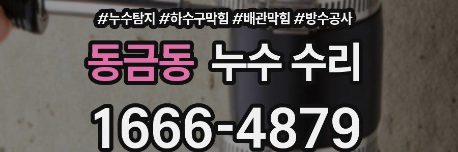 동금동 누수 수리
