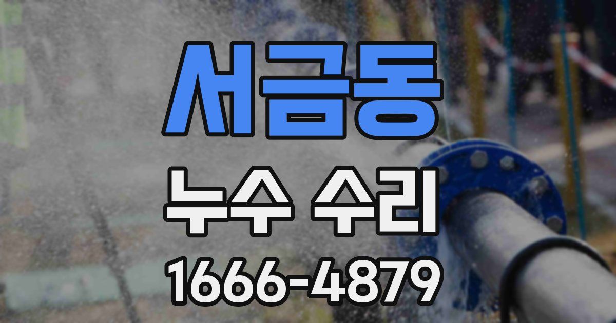 서금동 누수 수리