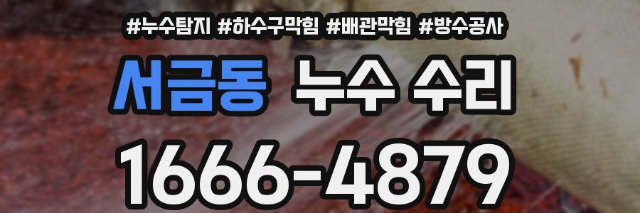 서금동 누수 수리