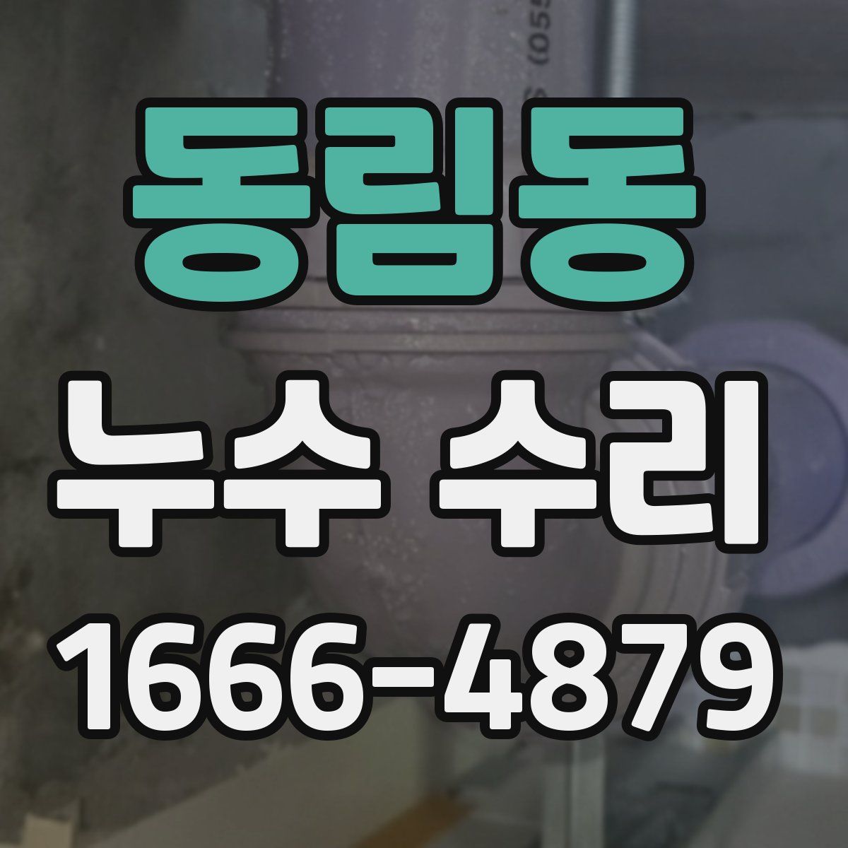 동림동 누수 수리