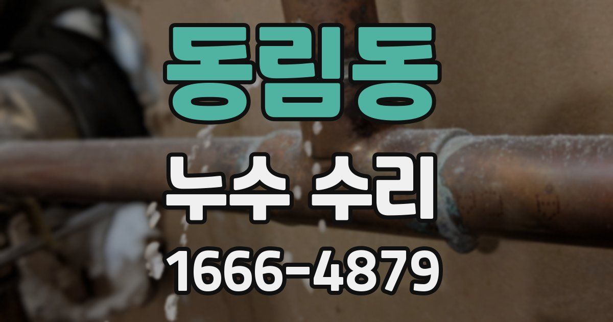 동림동 누수 수리