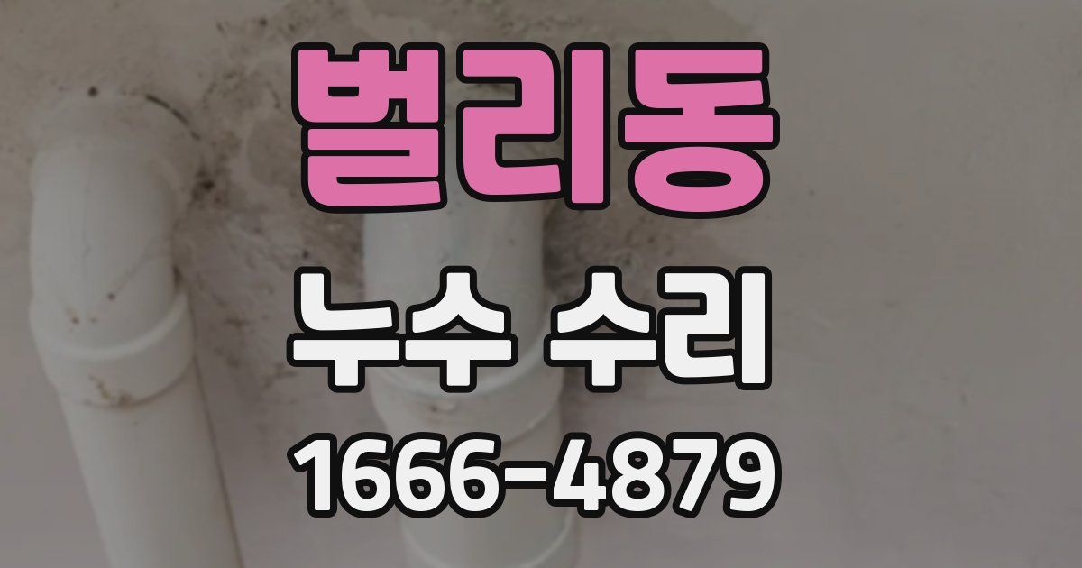 벌리동 누수 수리