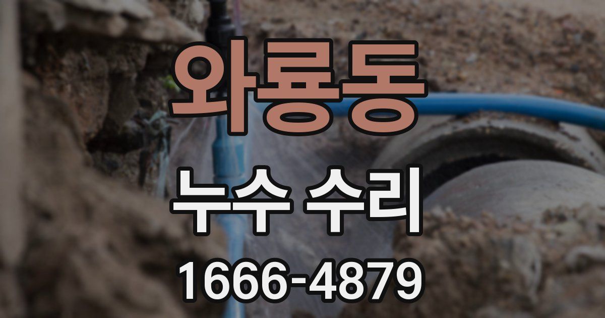 와룡동 누수 수리