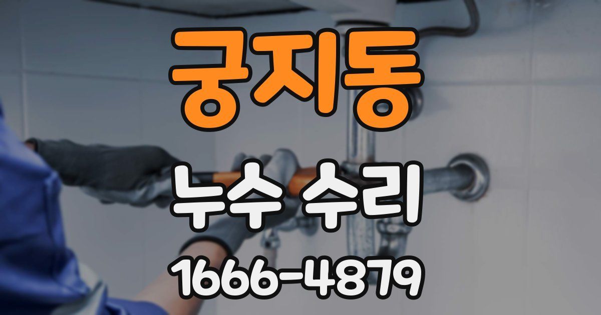 궁지동 누수 수리