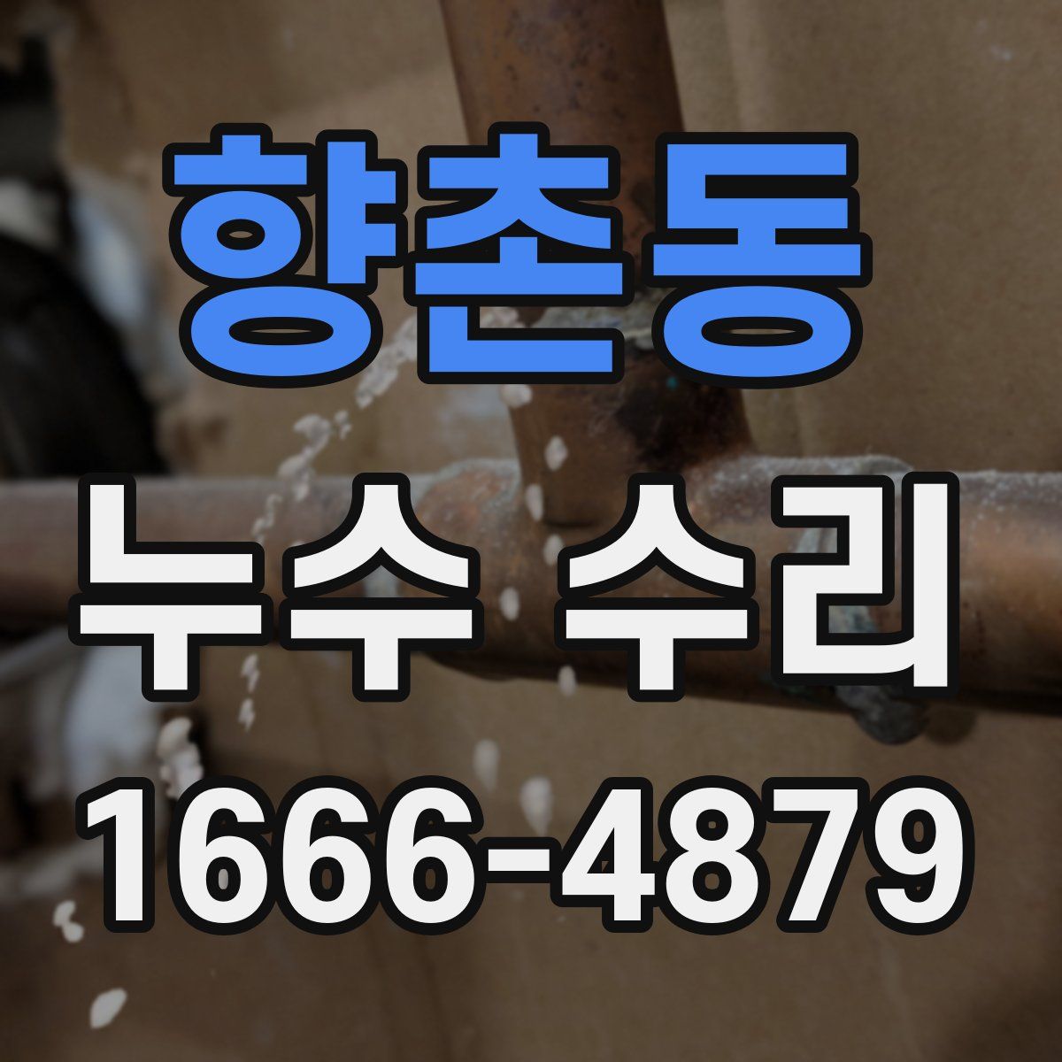 향촌동 누수 수리