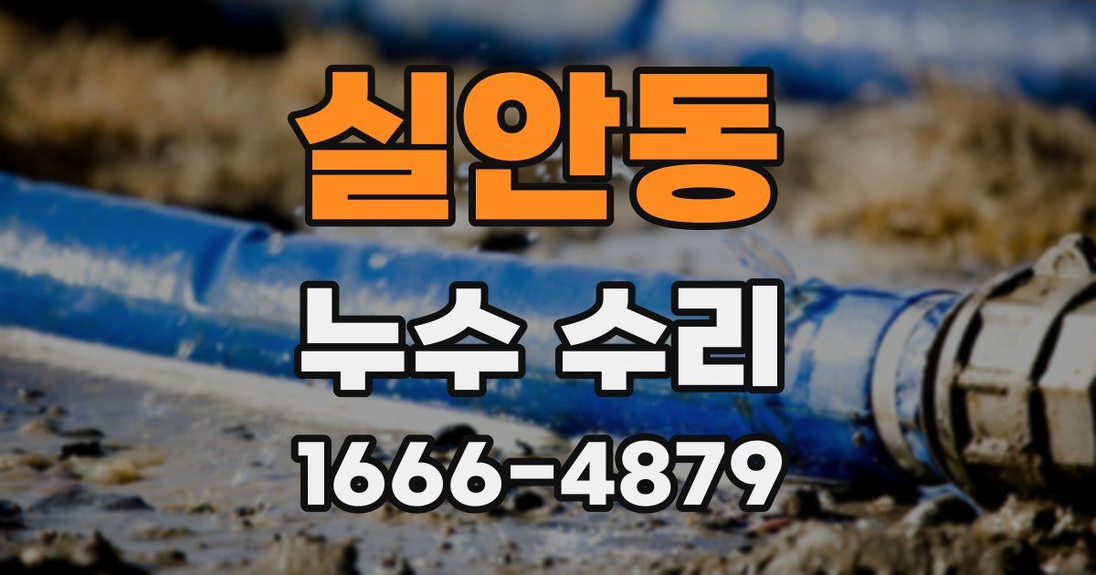 실안동 누수 수리