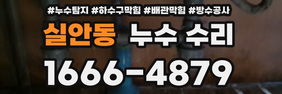 실안동 누수 수리