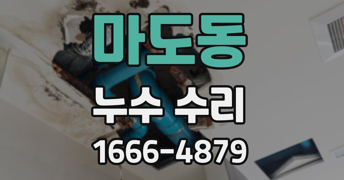 마도동 누수 수리