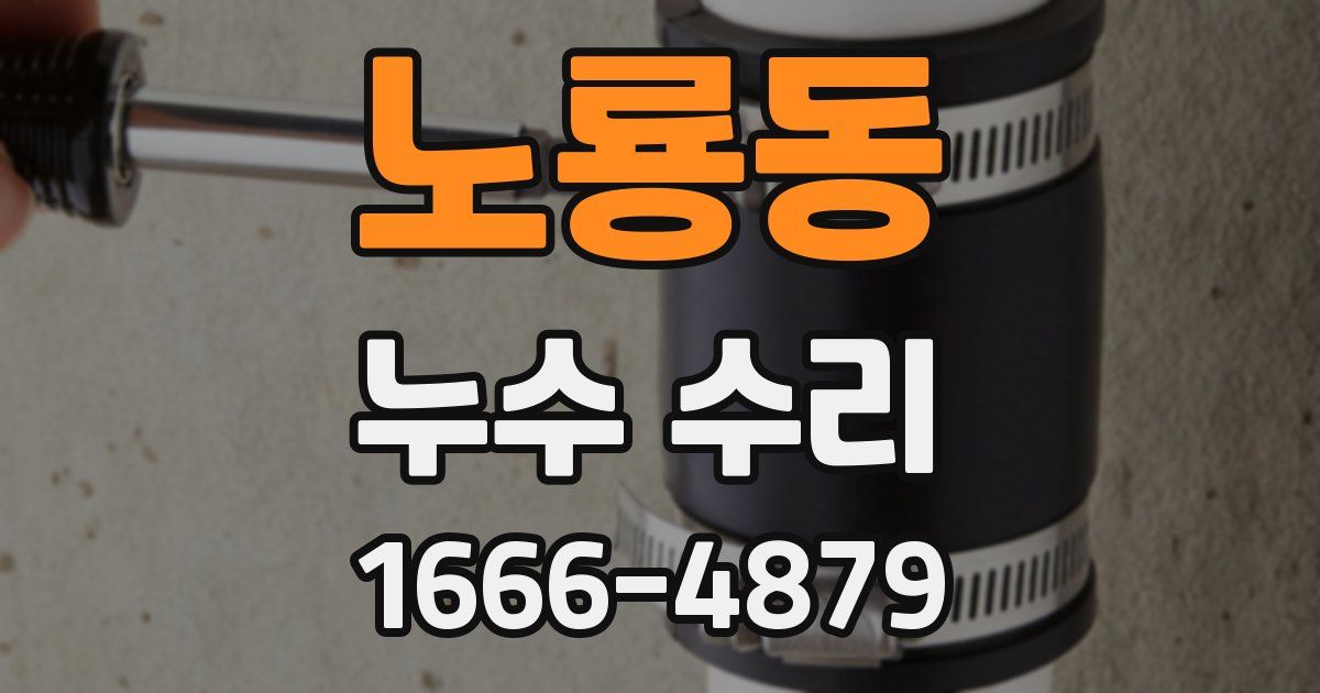 노룡동 누수 수리