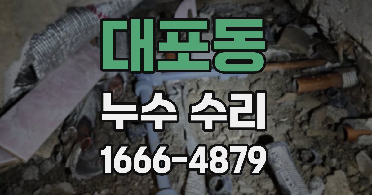 대포동 누수 수리