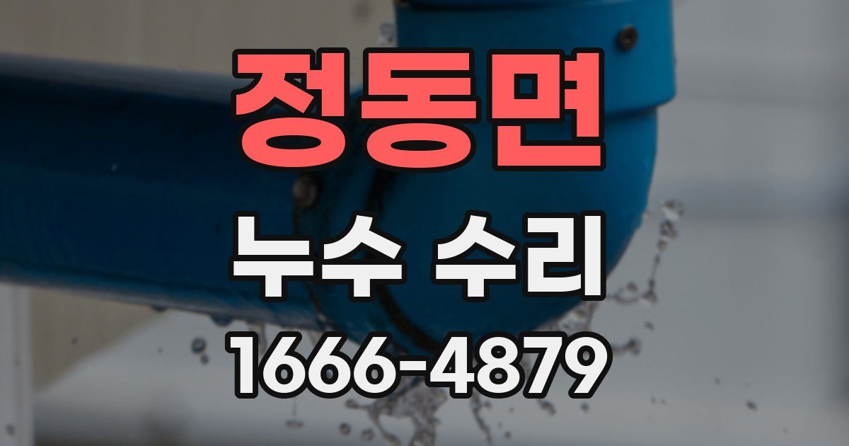 정동면 누수 수리