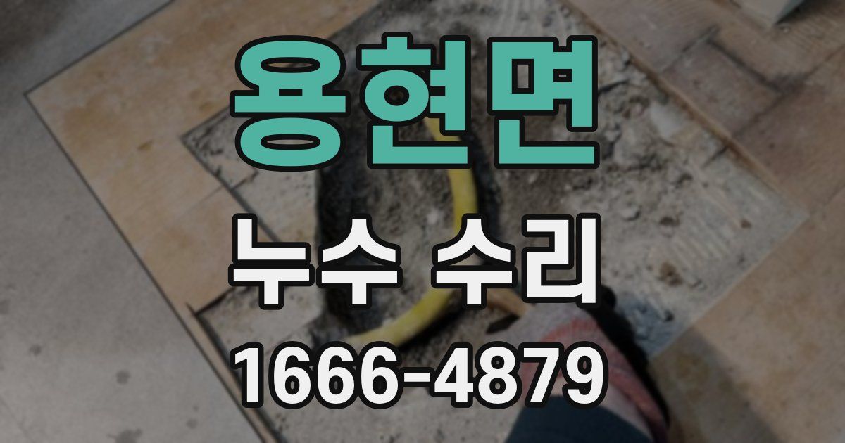 용현면 누수 수리