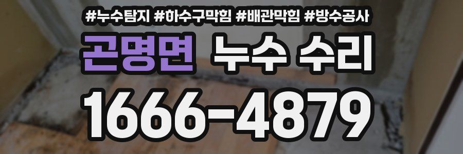 곤명면 누수 수리