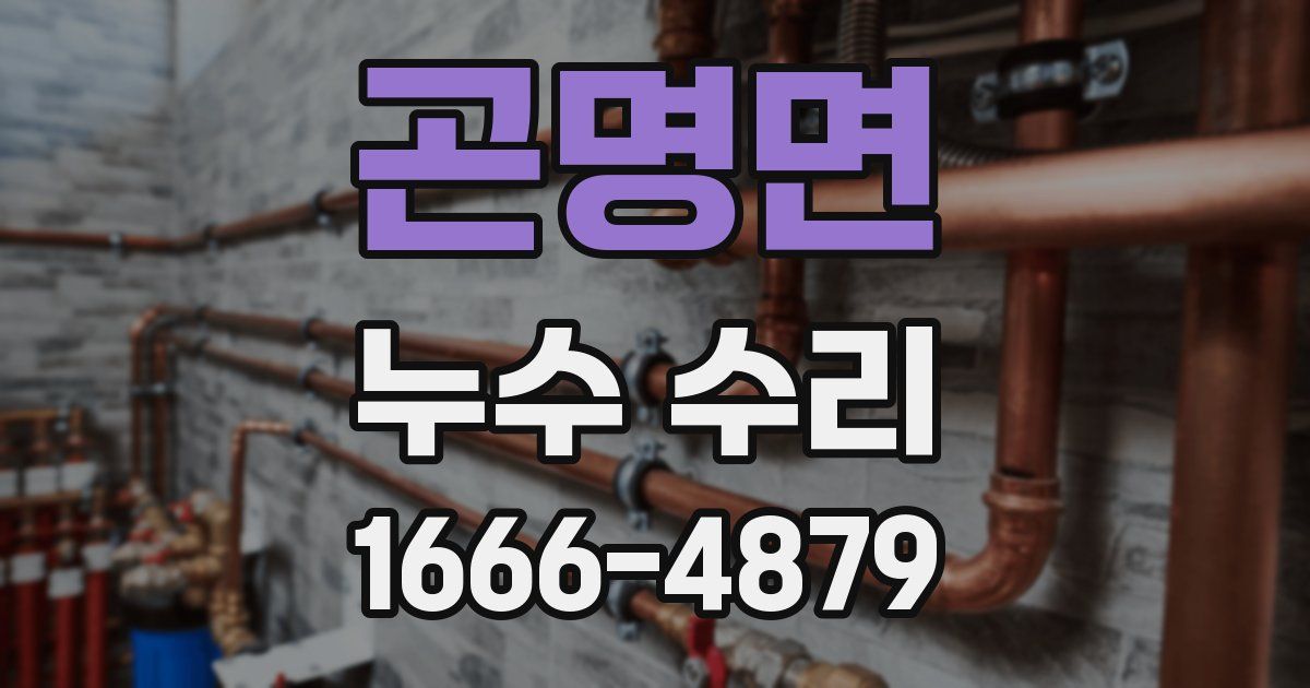 곤명면 누수 수리