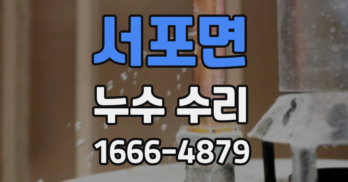 서포면 누수 수리