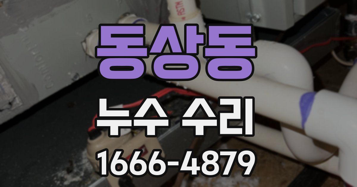 동상동 누수 수리