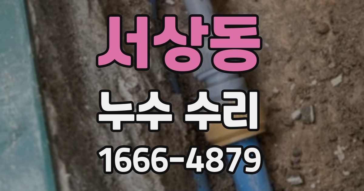 서상동 누수 수리