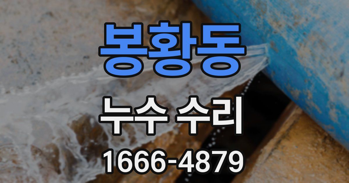 봉황동 누수 수리