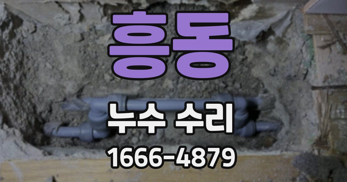 흥동 누수 수리