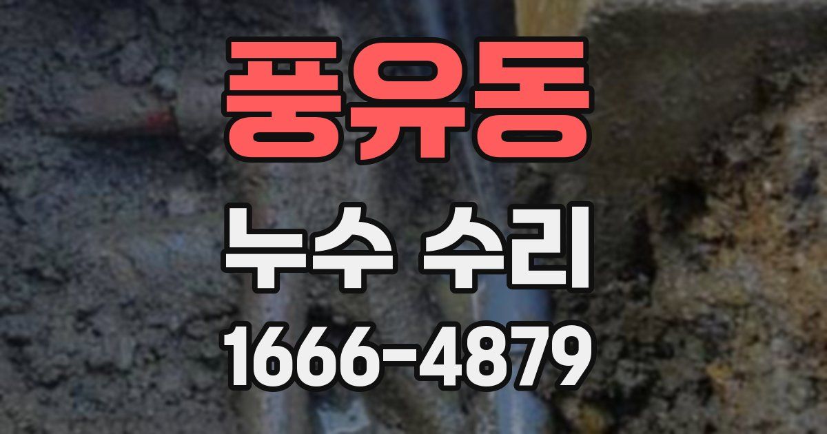 풍유동 누수 수리