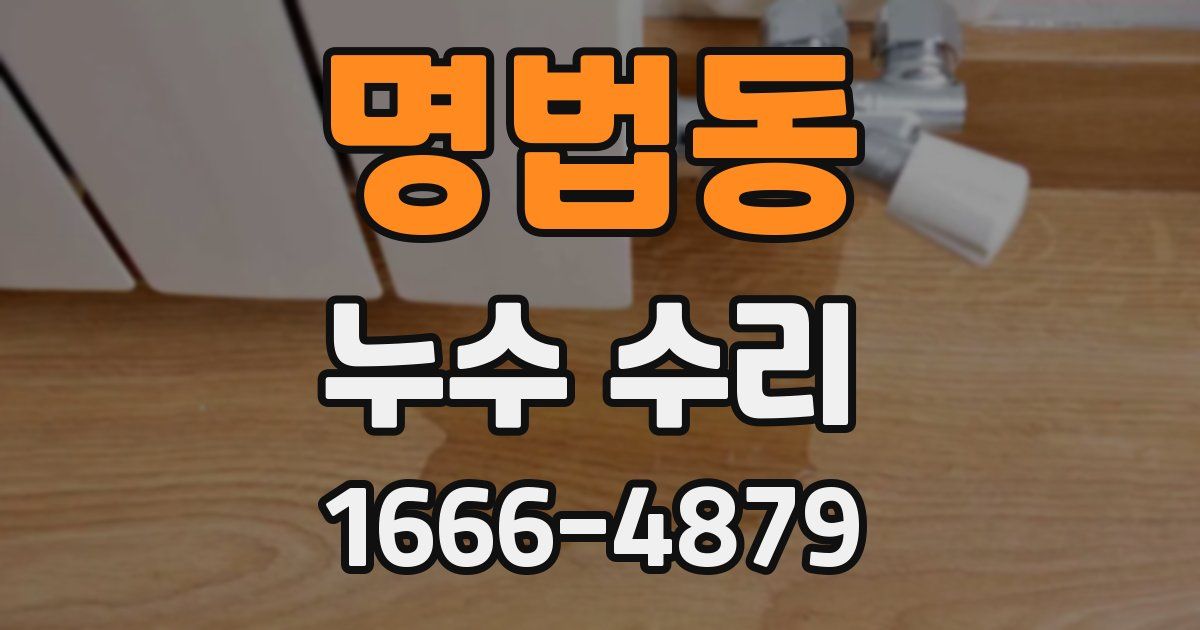 명법동 누수 수리