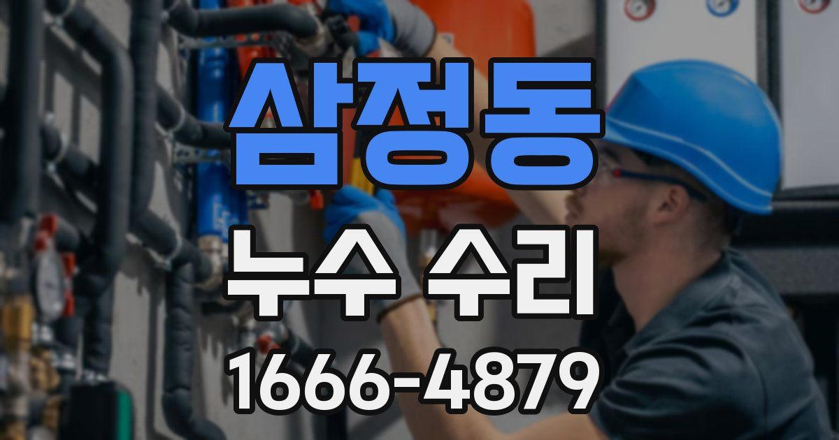 삼정동 누수 수리