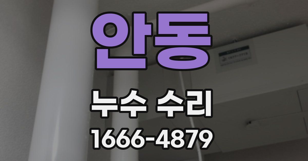 안동 누수 수리