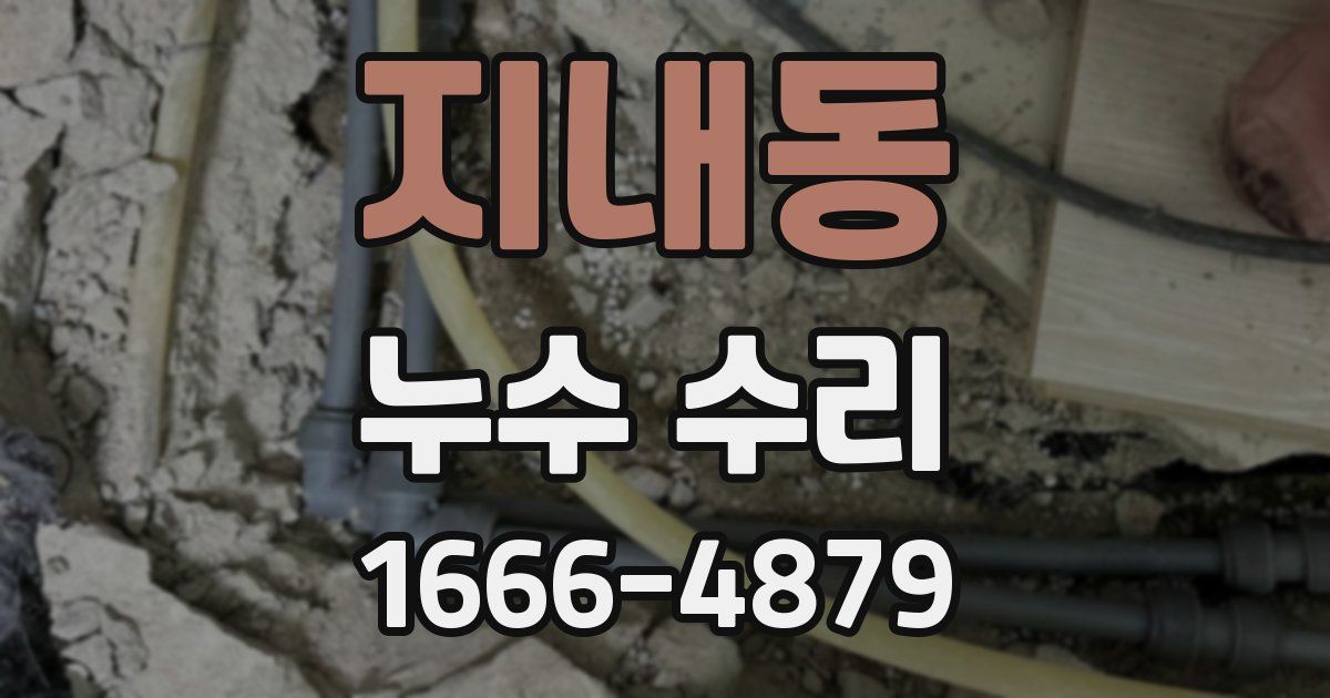 지내동 누수 수리