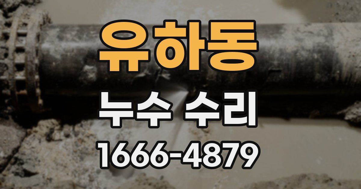 유하동 누수 수리
