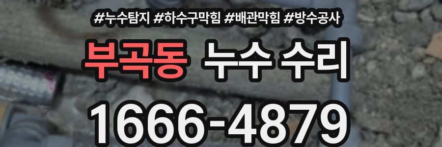 부곡동 누수 수리