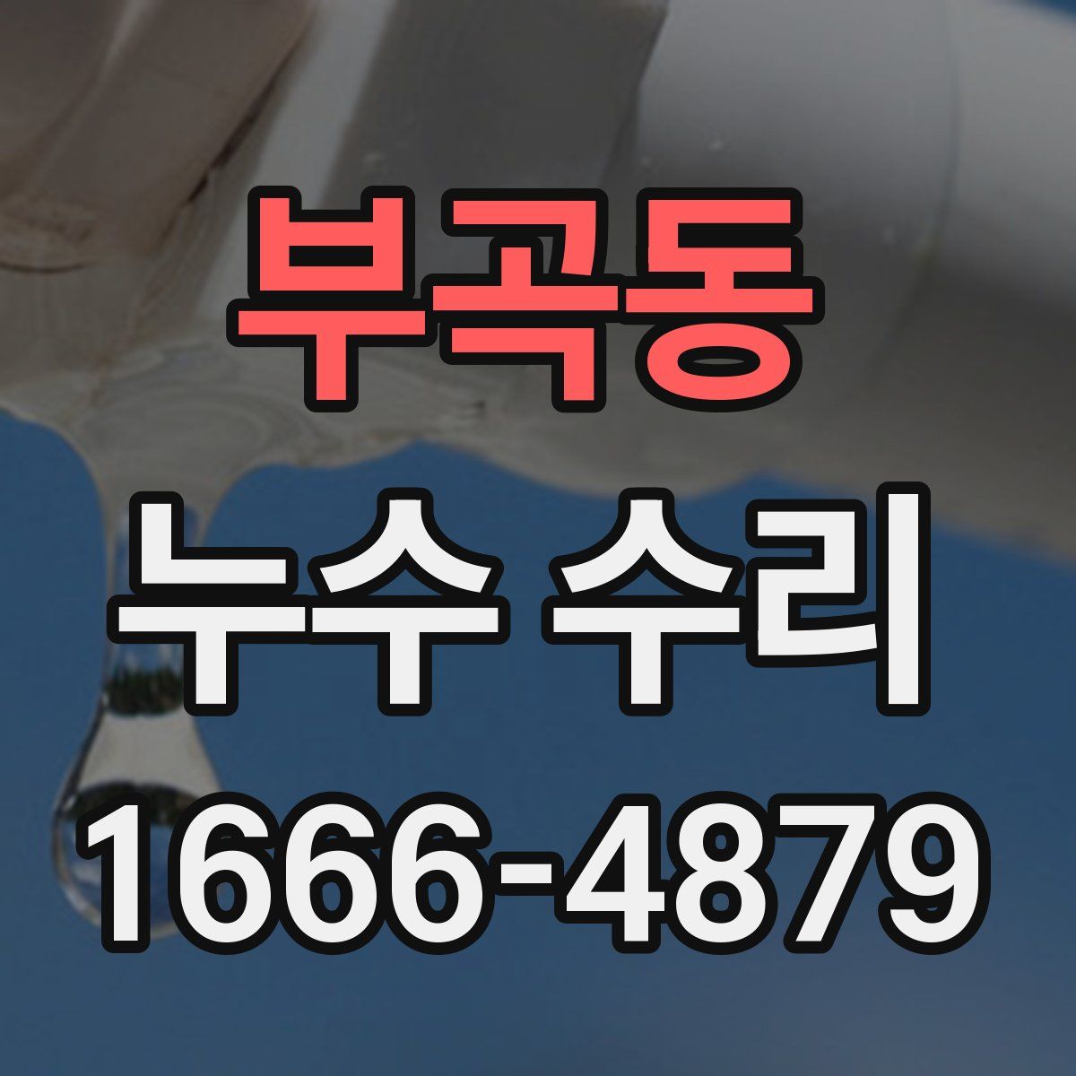 부곡동 누수 수리