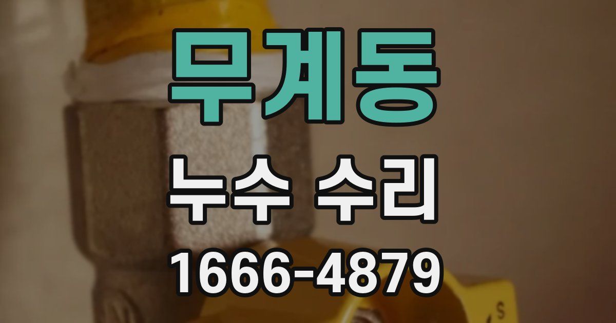 무계동 누수 수리