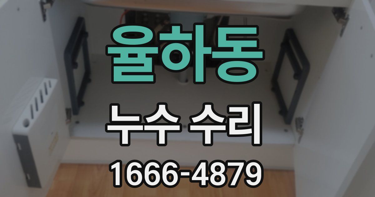 율하동 누수 수리
