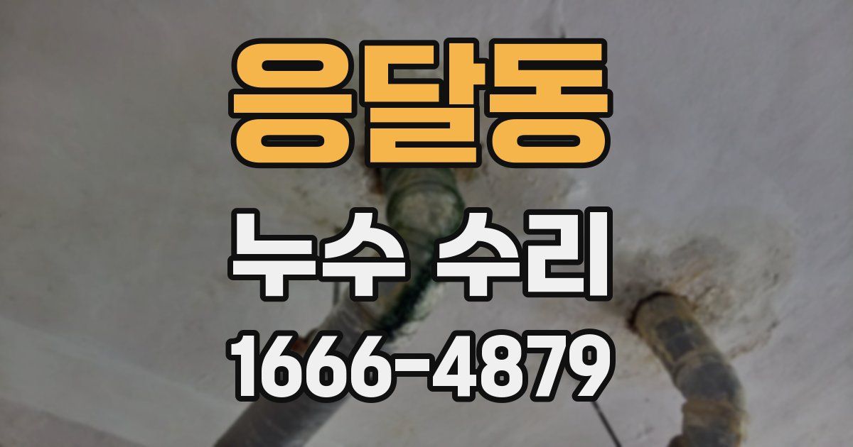 응달동 누수 수리