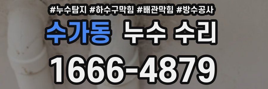 수가동 누수 수리