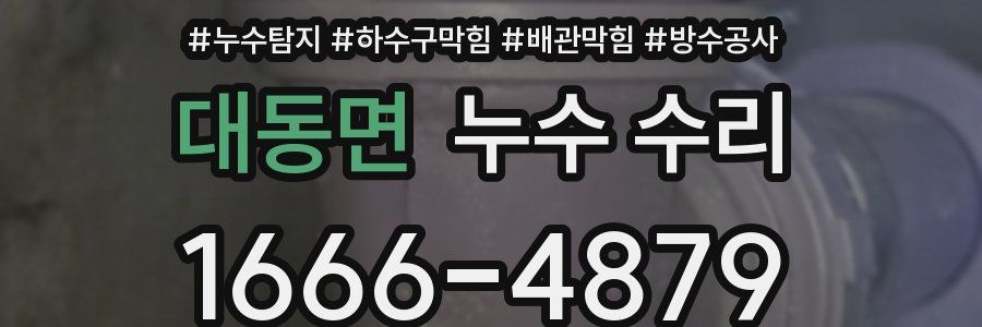 대동면 누수 수리